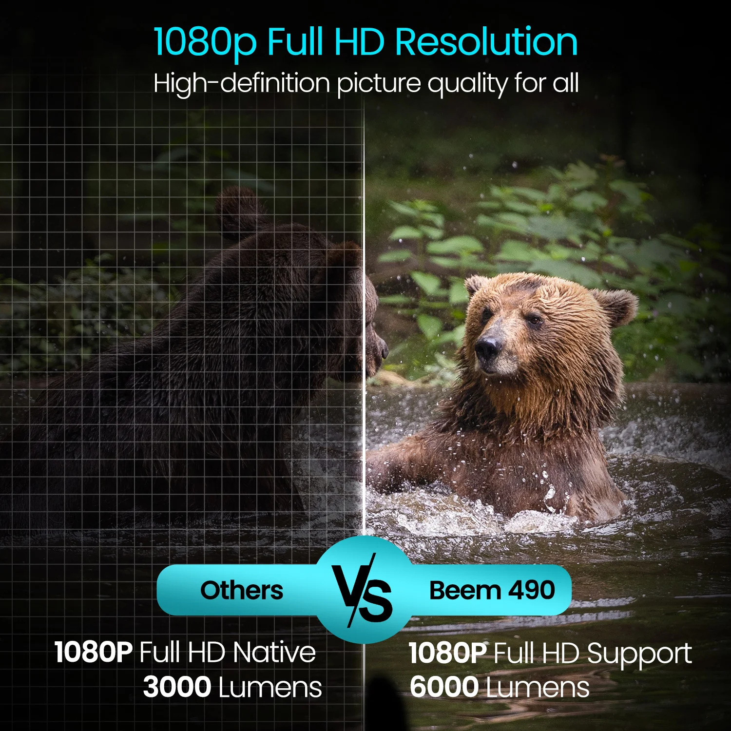 Beem 490 - Image 3