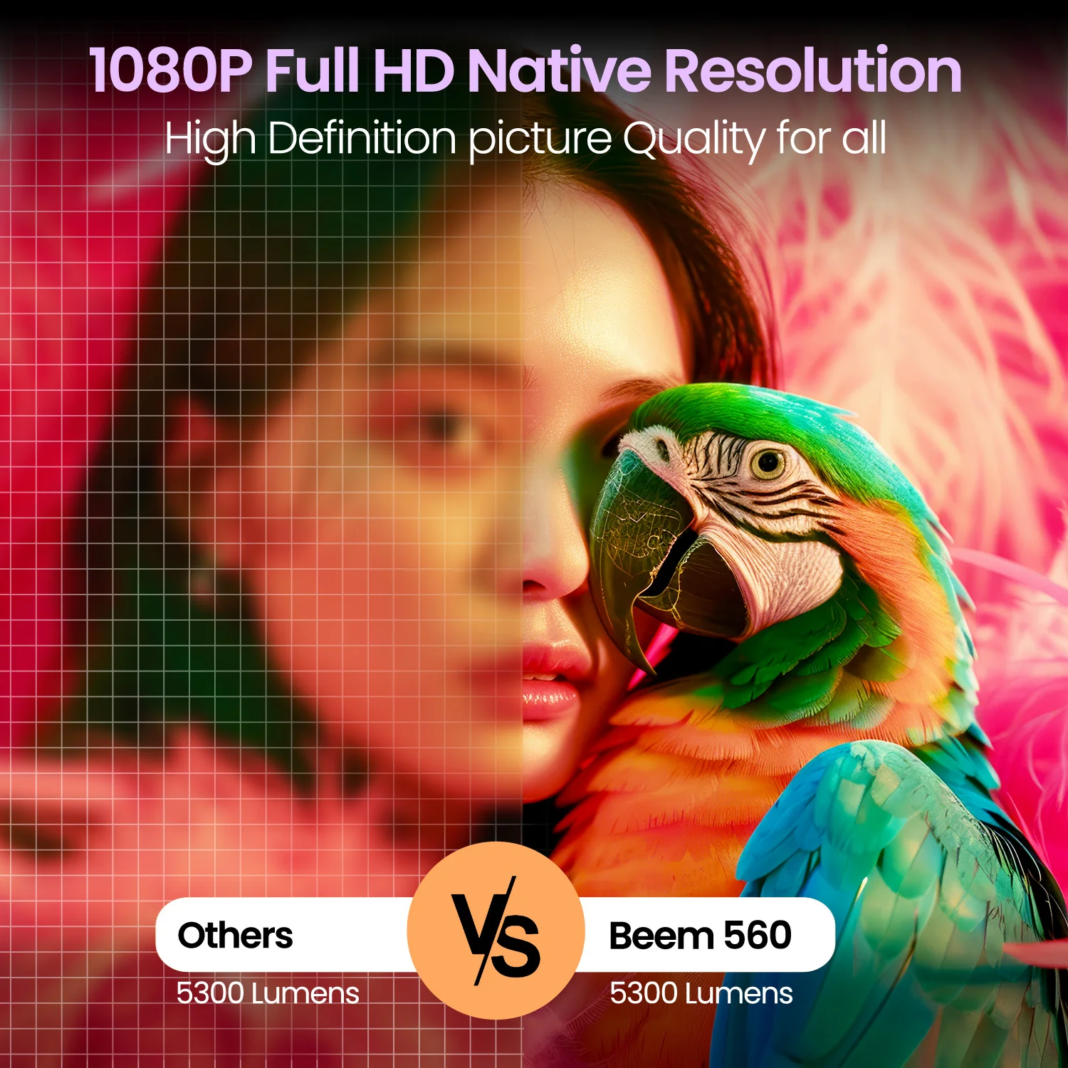 Beem 560 - Image 2