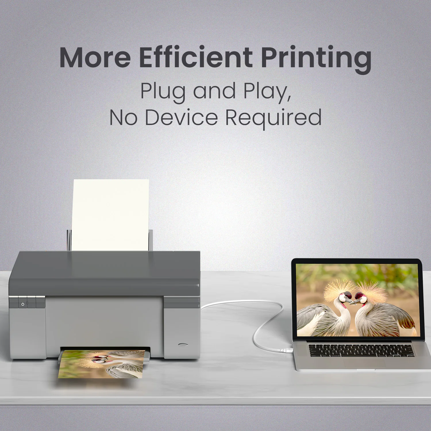 Printlink 1.5 - USB A To USB B For Printer 1.5M Cable - Image 7