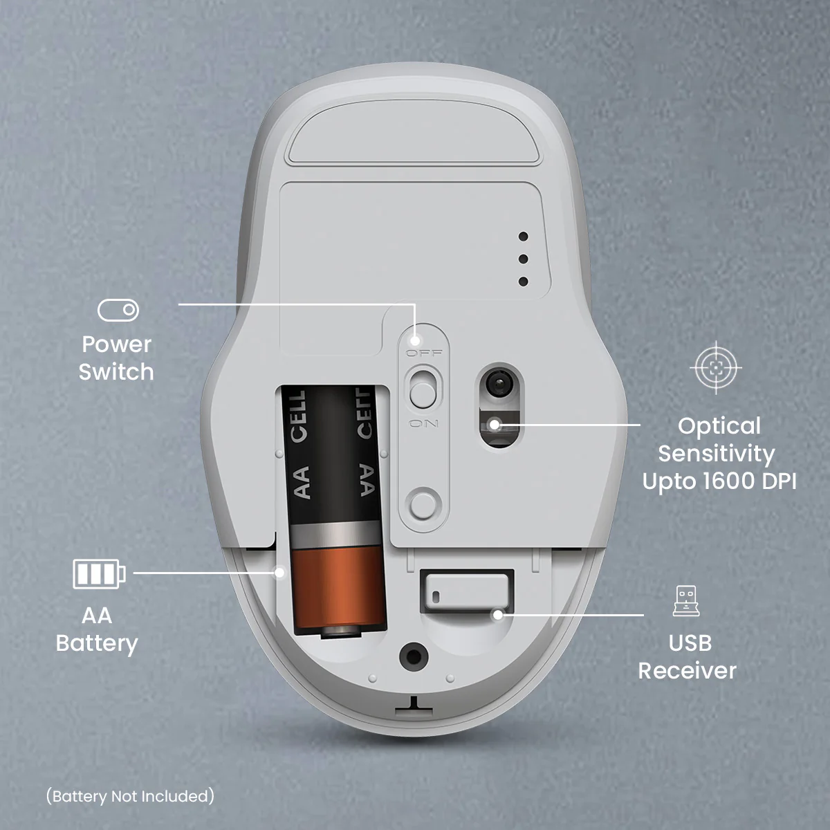 Toad 35 - Image 13
