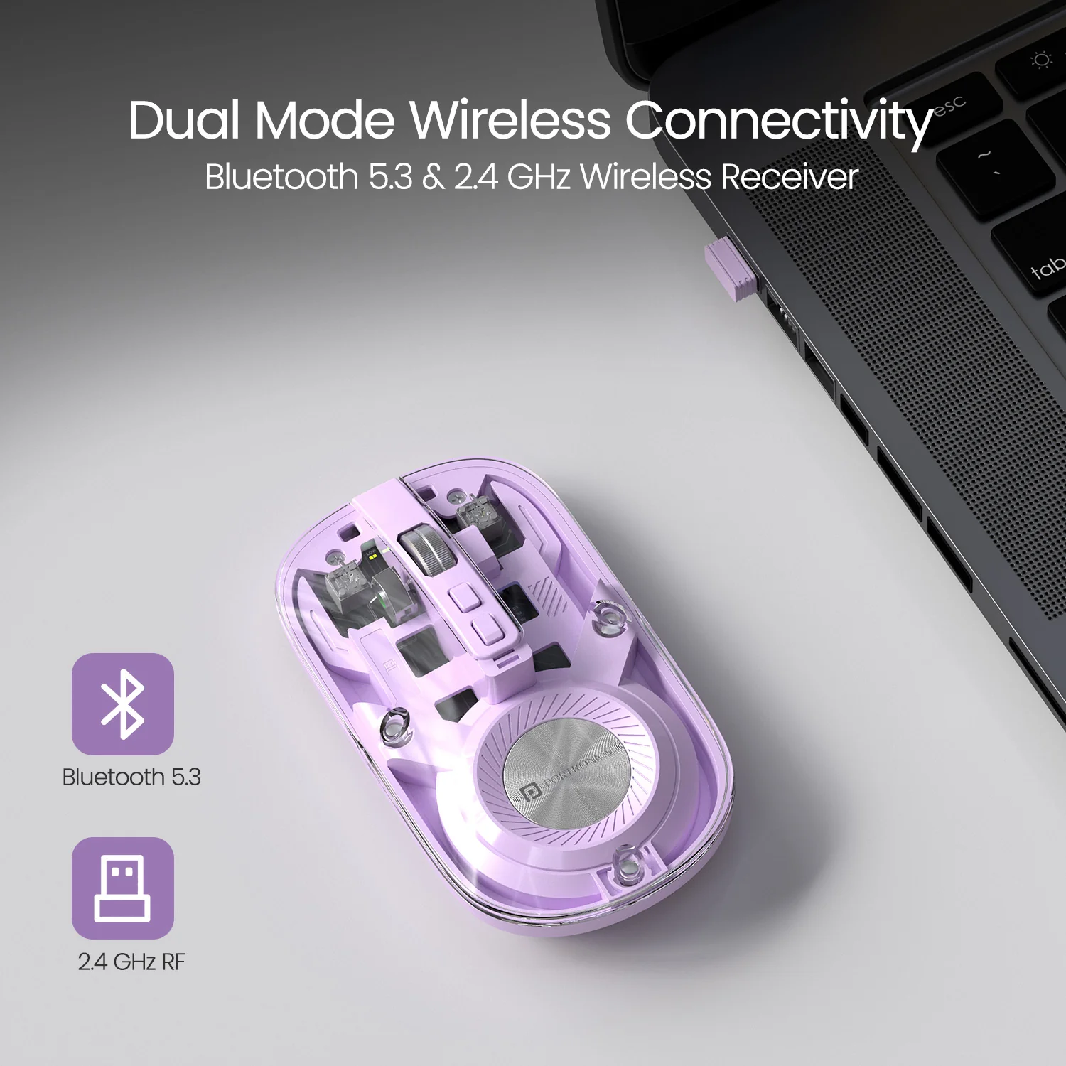 Toad 8 - Image 13