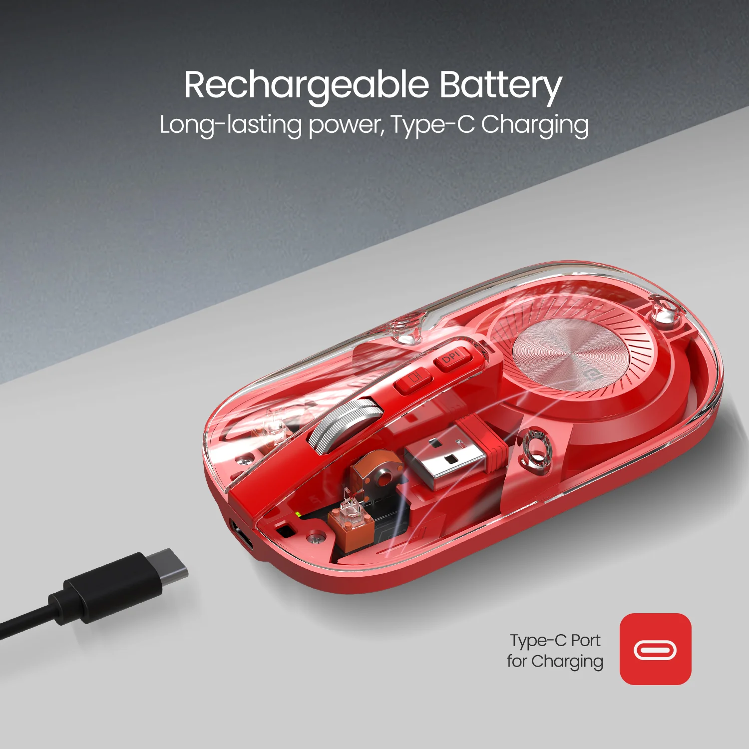 Toad 8 - Image 37