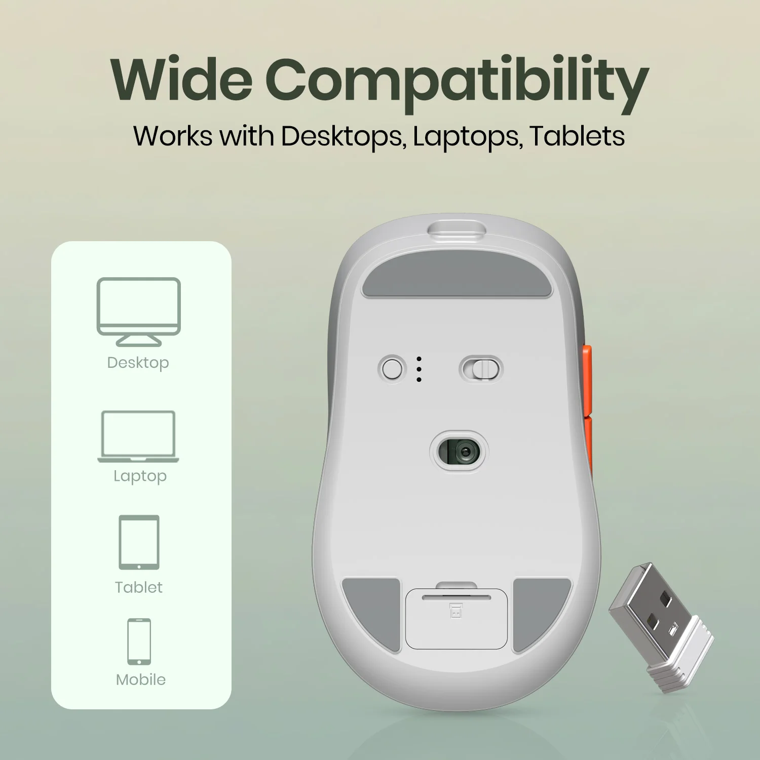 Toad 9 - Image 14
