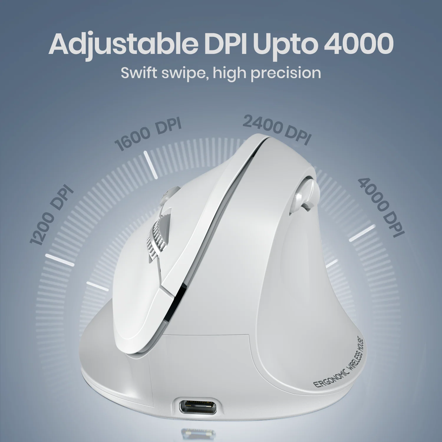 Toad Ergo 4 - Image 3